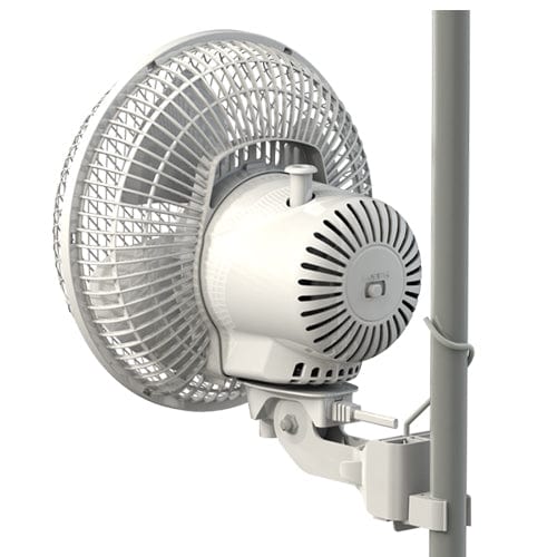 Secret Jardin Monkey Fan - London Grow