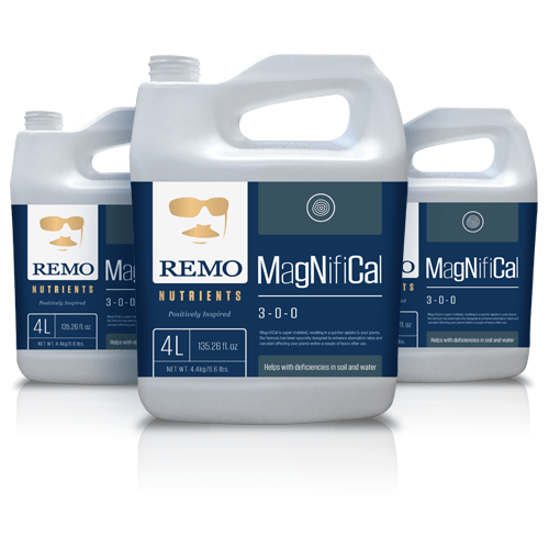Remo MagNifiCal - London Grow