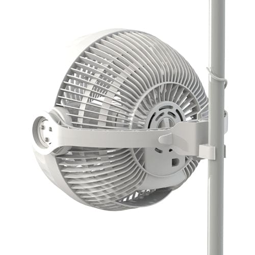 Secret Jardin Monkey Fan - London Grow