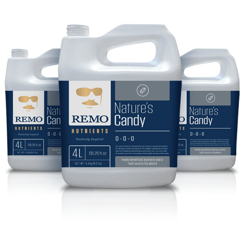 Remo Natures Candy - London Grow