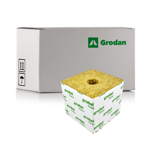 Grodan - Delta Cube 6" Hugo - London Grow