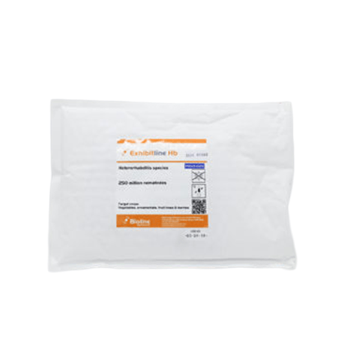 Weevil & Beetle Predators 50 Mio Individuals - Heterorhabditis bacteriophora (for Weevils/Beetles) - London Grow