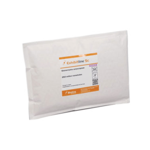 Thrip & Gnat Larvae Predators 50 Mio Individuals - Steinernema carpocapsae (for Thrips/Larvae) - London Grow