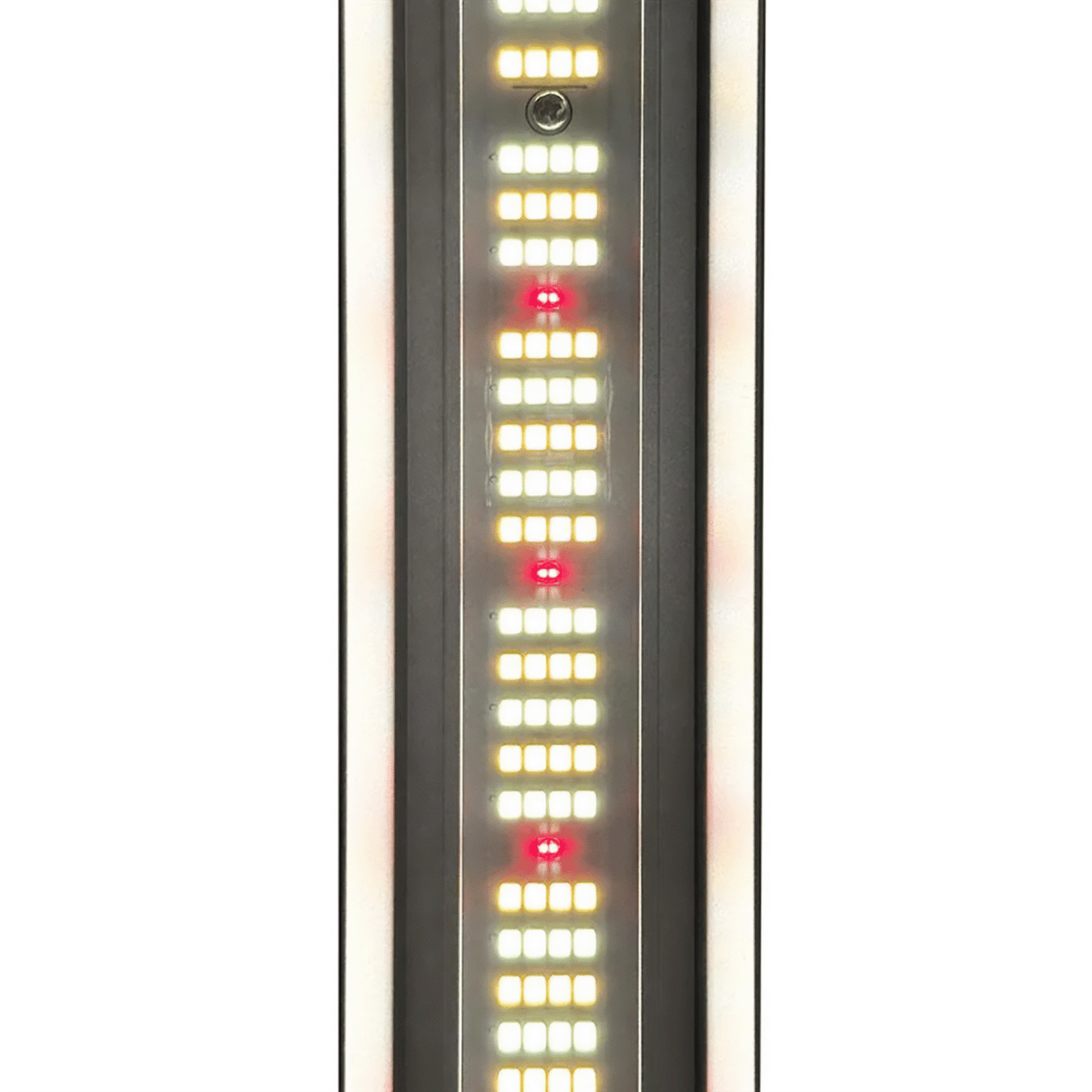 LUMii XLEDv6 680W LED Fixture