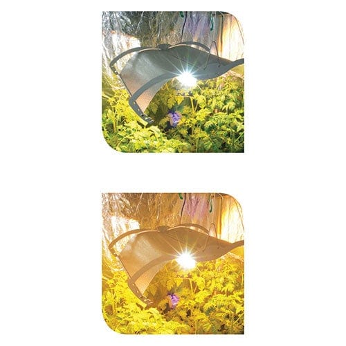 LUMii Growroom Lenses - London Grow