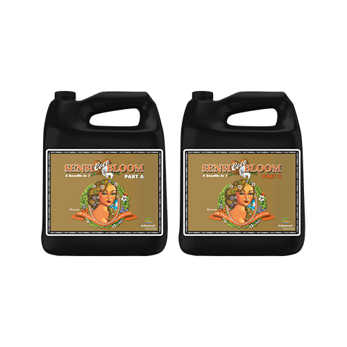 Advanced Nutrients Sensi Bloom Coco A&B 4L - London Grow