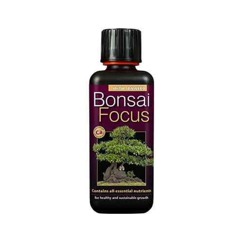 Growth Technology Bonsai Focus 300ml - London Grow