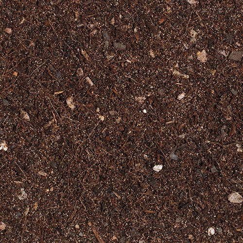 Growth Technology - Bonsai Focus Repotting Mix 2L - London Grow
