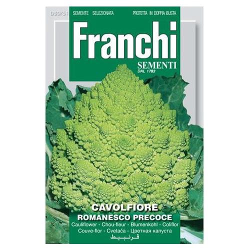 Cauliflower Romanesco - London Grow