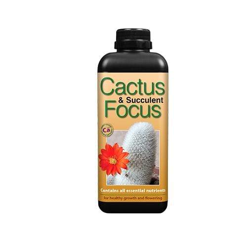 Growth Technology Cactus Focus - London Grow