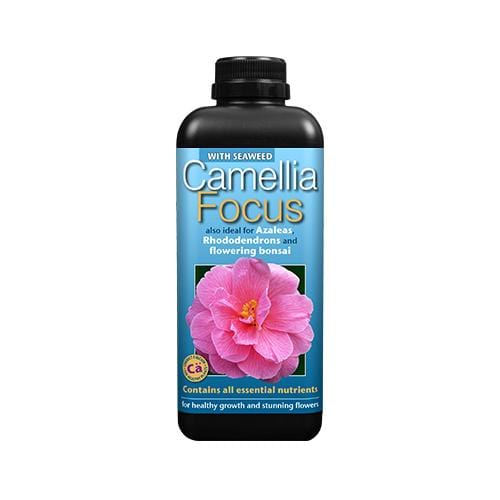 Growth Technology Camellia Focus 1L - London Grow