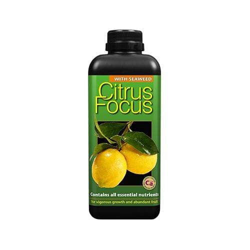 Growth Technology Citrus Focus 1L - London Grow