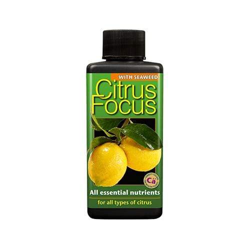 Growth Technology Citrus Focus 100ml - London Grow