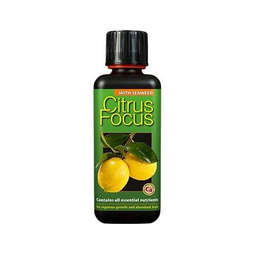 Growth Technology Citrus Focus 300ml - London Grow