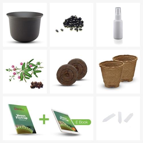 Grow Buddha - Venus Flytrap Starter Kit - London Grow