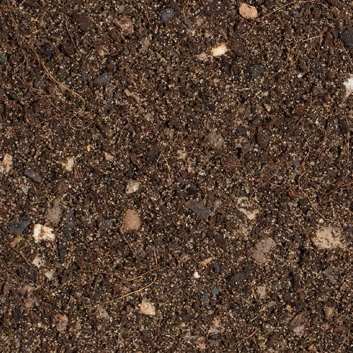 Growth Technology - Cactus Focus Repotting Mix 3L - London Grow