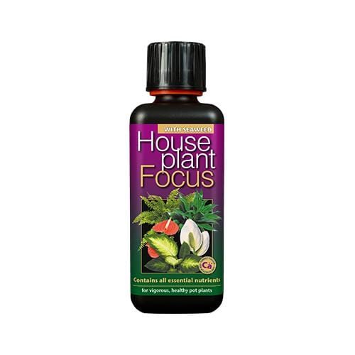 Growth Technology Houseplant Focus 300ml - London Grow