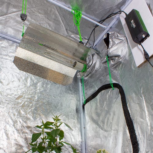 LUMii BLACK 600W Digital Kit - London Grow