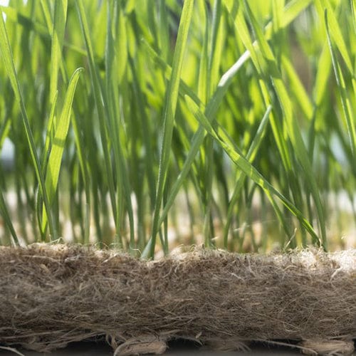 Seed It Hemp Mat for Microgreens (Pack of 3) - London Grow