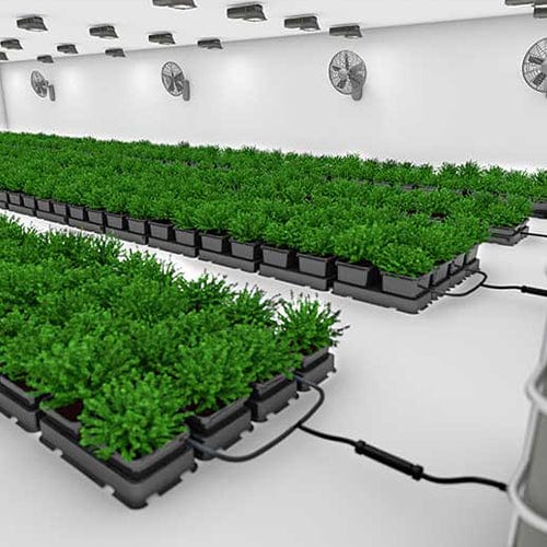 Autopot Easy2Grow - London Grow