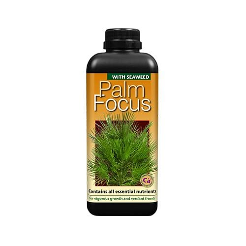 Growth Technology Palm Focus 1L - London Grow