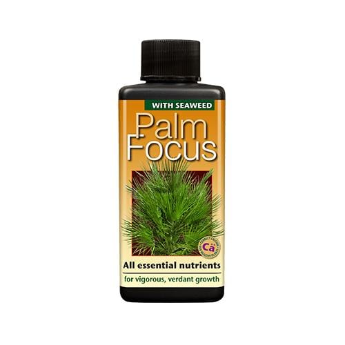 Growth Technology Palm Focus 100ml - London Grow