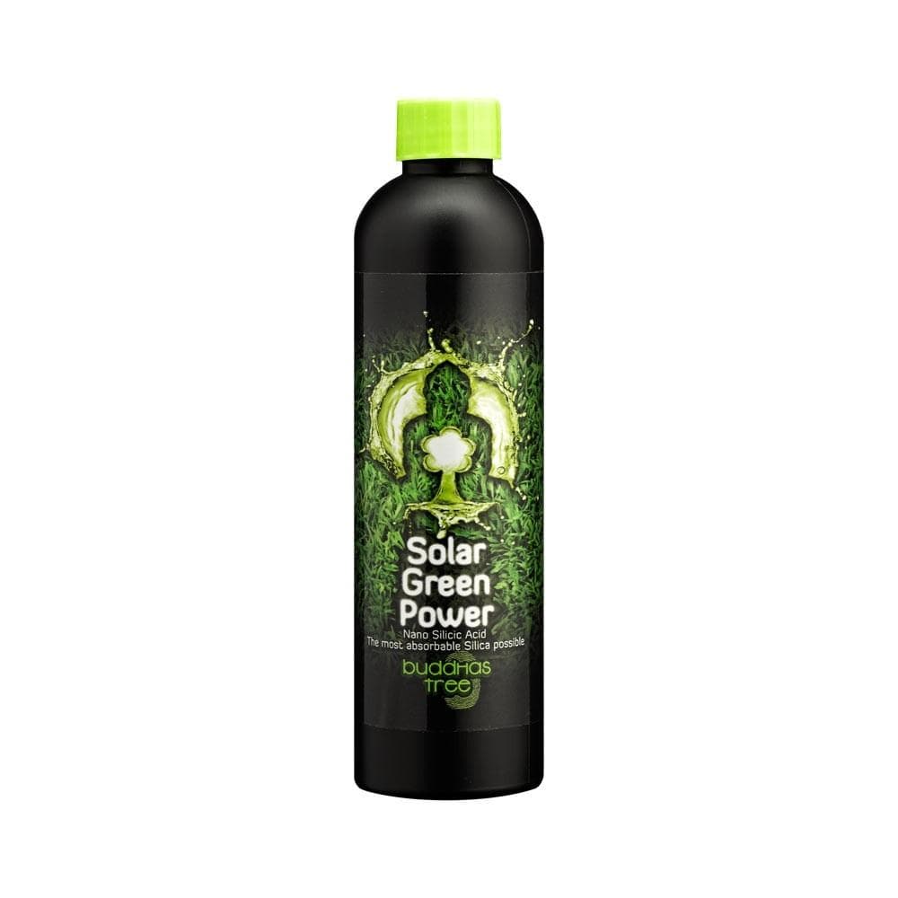 Buddha's Tree Solar Green Power - London Grow