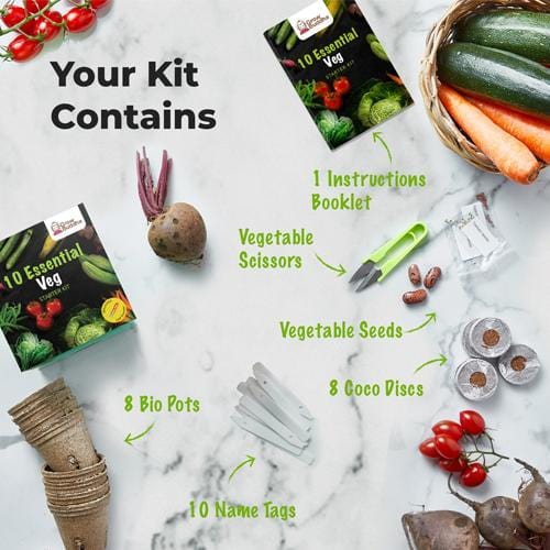 Grow Buddha - 10 Easy Vegetable Starter Kit - London Grow