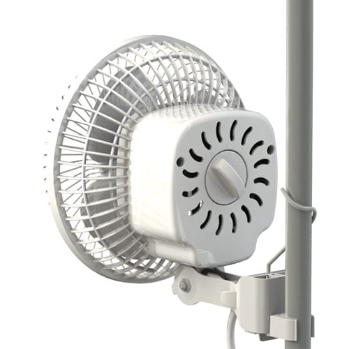 Secret Jardin Monkey Fan - London Grow