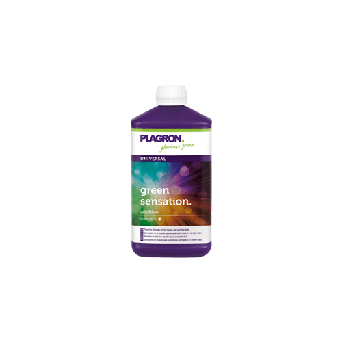 Plagron Green Sensation - London Grow