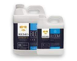 Remo Bloom - London Grow