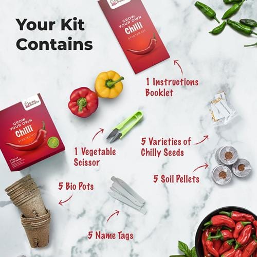 Grow Buddha - 5 Chilli Starter Kit - London Grow