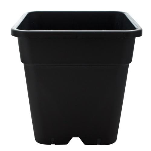 Square Plastic Pot - London Grow