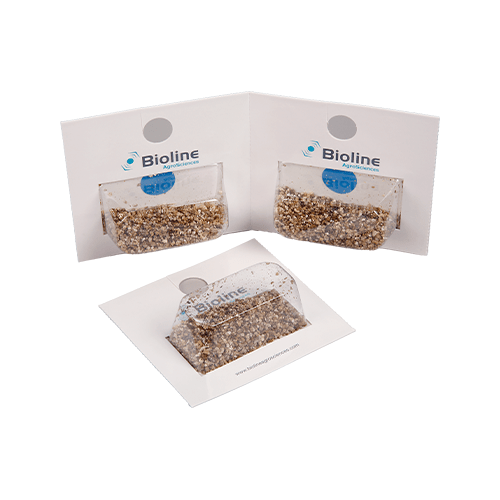 Aphid Predators 4 blister - 1000 Individuals - Aphidoletes aphidimyza (for Aphids) - London Grow