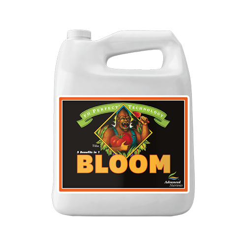 Advanced Nutrients Bloom - London Grow