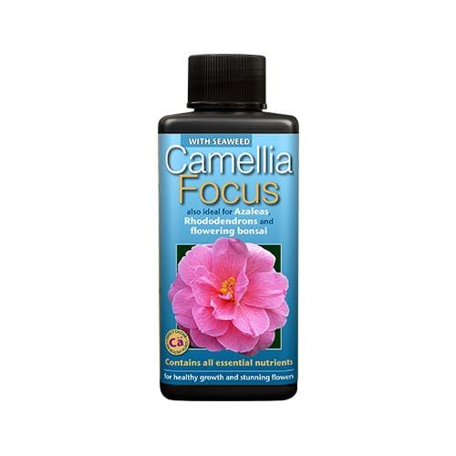 Growth Technology Camellia Focus 100ml - London Grow