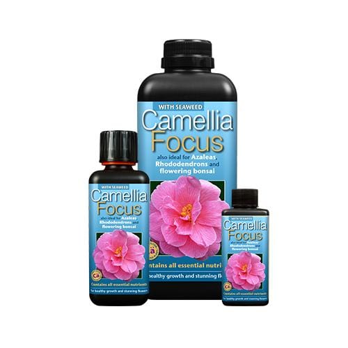 Growth Technology Camellia Focus - London Grow