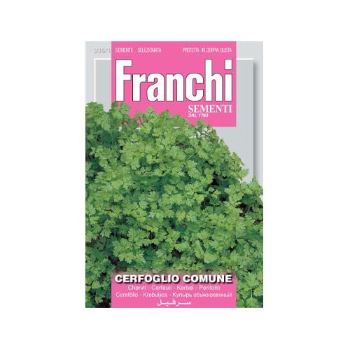 Chervil - London Grow