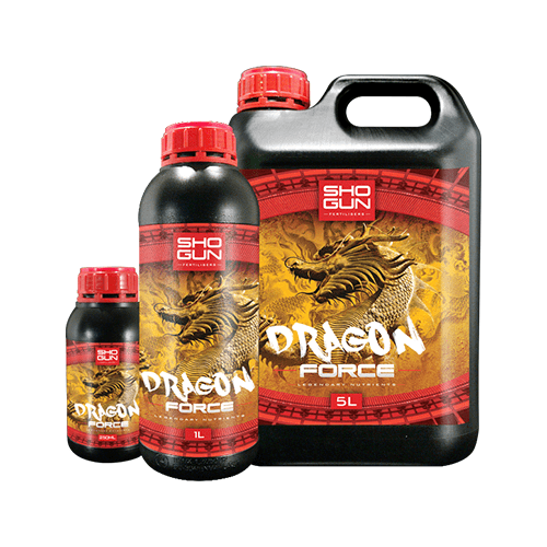 Shogun Dragon Force - London Grow