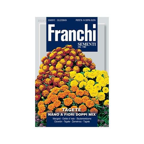 Marigold Dwarf - London Grow