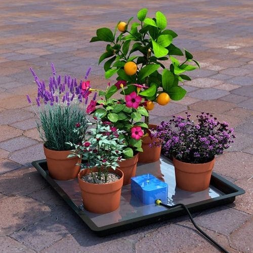 Autopot - Easy2Go Kit - London Grow