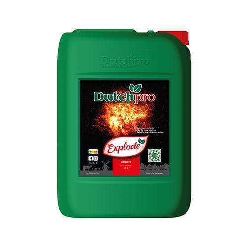 Dutch Pro Explode 10L - London Grow