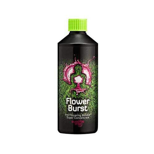 Buddha's Tree Flower Burst 500ml - London Grow