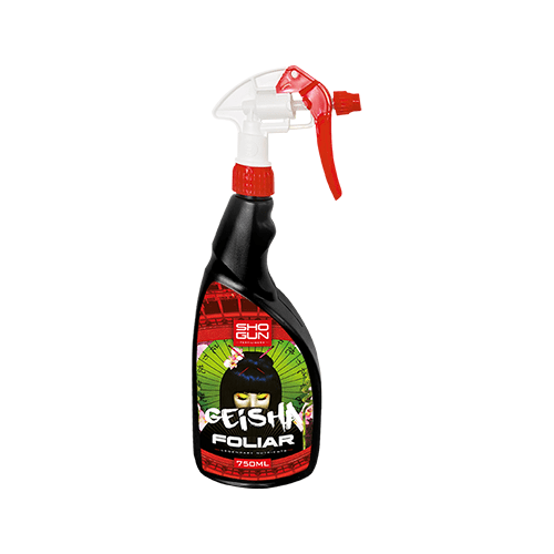 Shogun - Geisha Foliar - London Grow