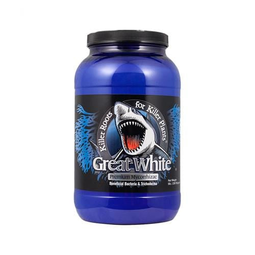 Plant Success Great White - London Grow