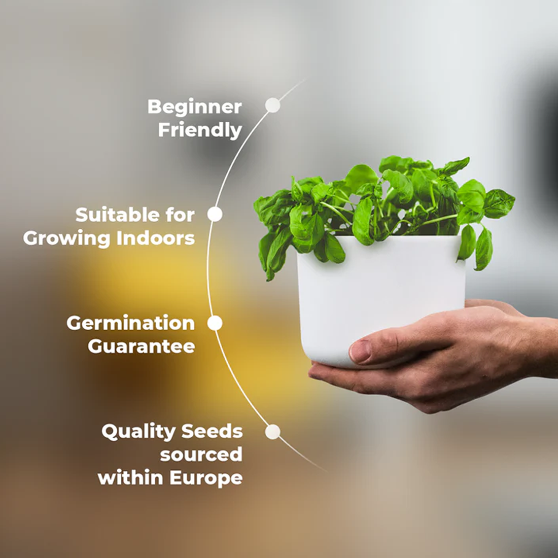 Grow Buddha - 15 Veg Seed Set