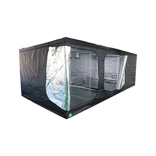 BudBox - LITE 600x300x200cm - London Grow