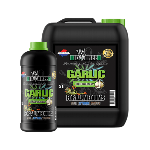Biogreen Garlic - London Grow