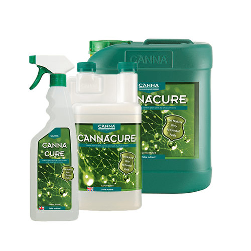 CANNA CANNACURE - London Grow