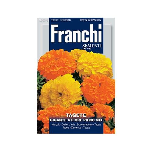 Marigold Tall - London Grow